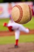 Play Ball!