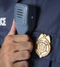 The Law Enforcement Perspective On Youth Violence